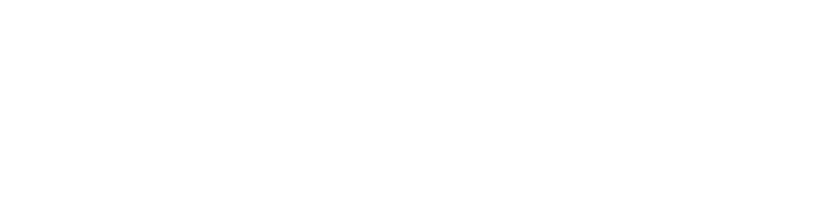 Wicycool logo